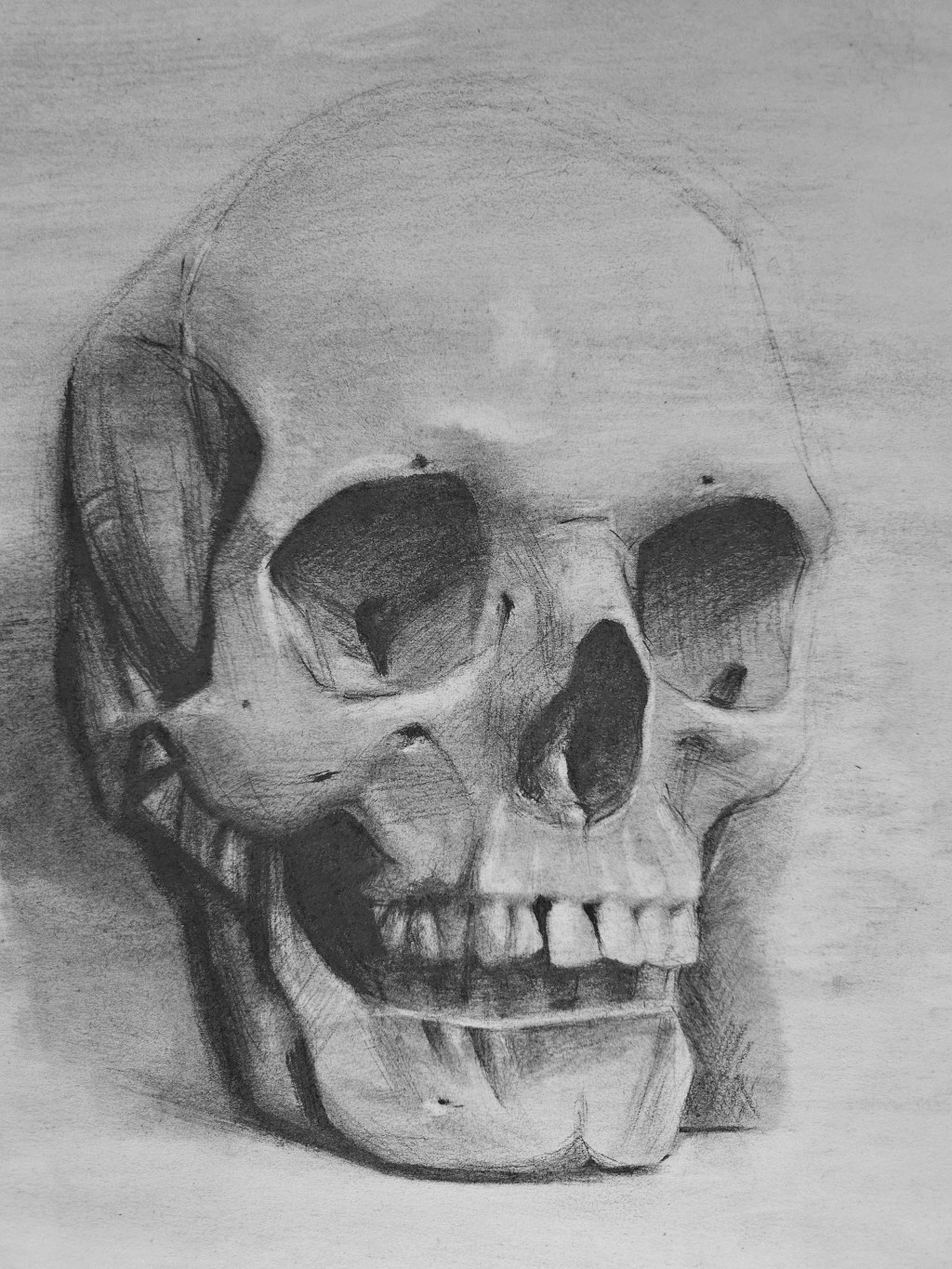 The art of&nbsp;observation